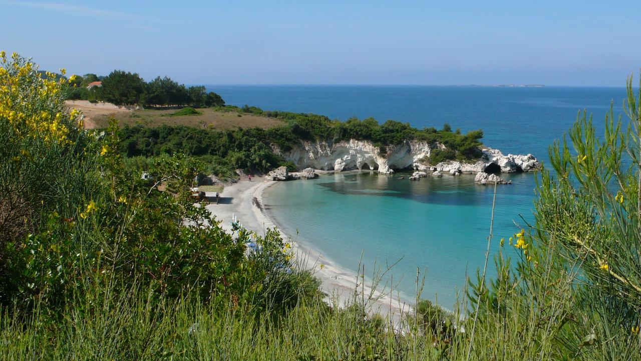 Oskars & 3* Lassi (Kefalonia)