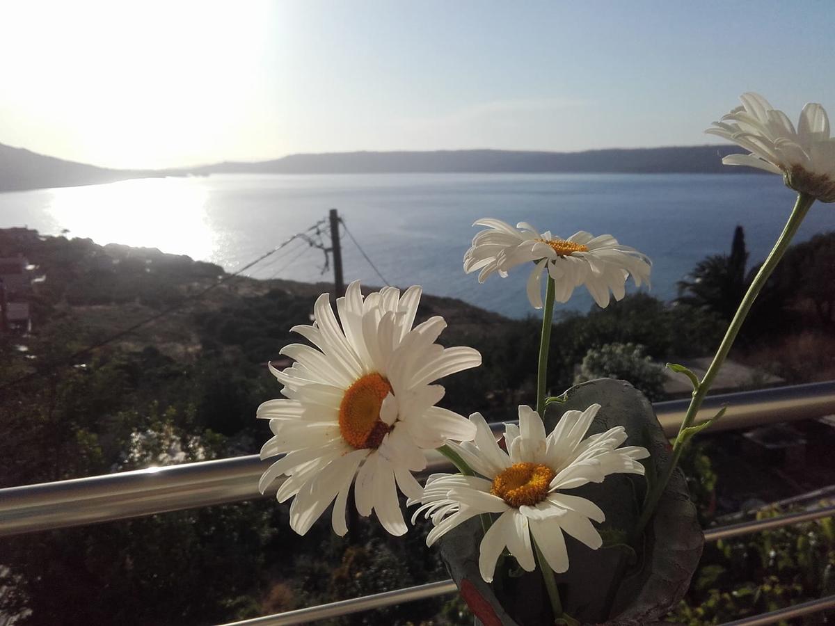 Olympic View Guest house