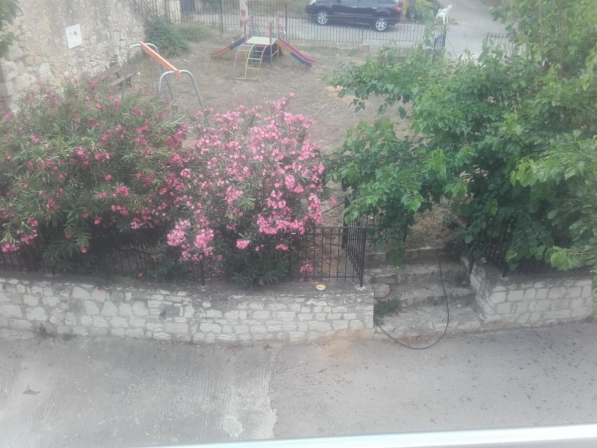 Olympic View Guest house