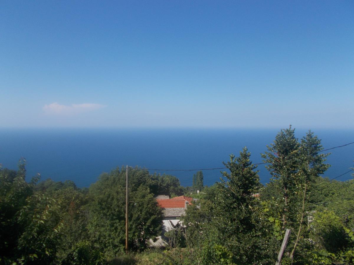 Guest house Archontiko Iatridis Mouresi