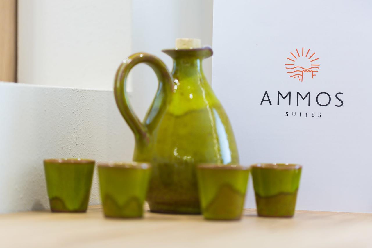 Ammos Suites 4*