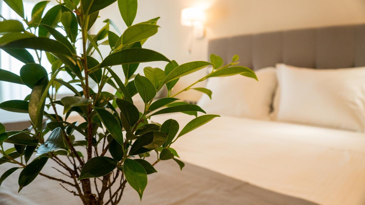 Costa Domus Blue Luxury