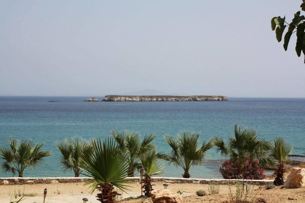 Paros Blue Dolphin Fully Renovated By Rivea Group *