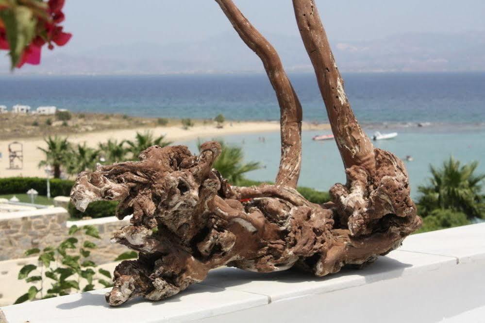 Paros Blue Dolphin Fully Renovated By Rivea Group Hotel Chrisi Akti (Paros)