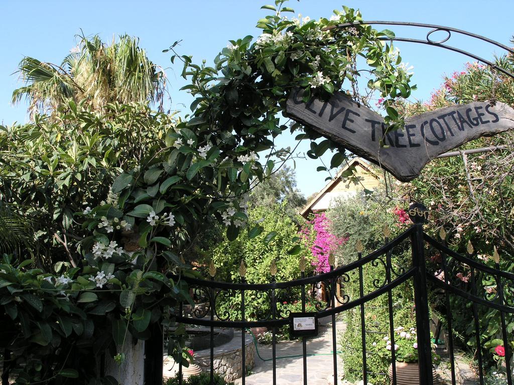 Olive Tree Cottages * Palaiochora