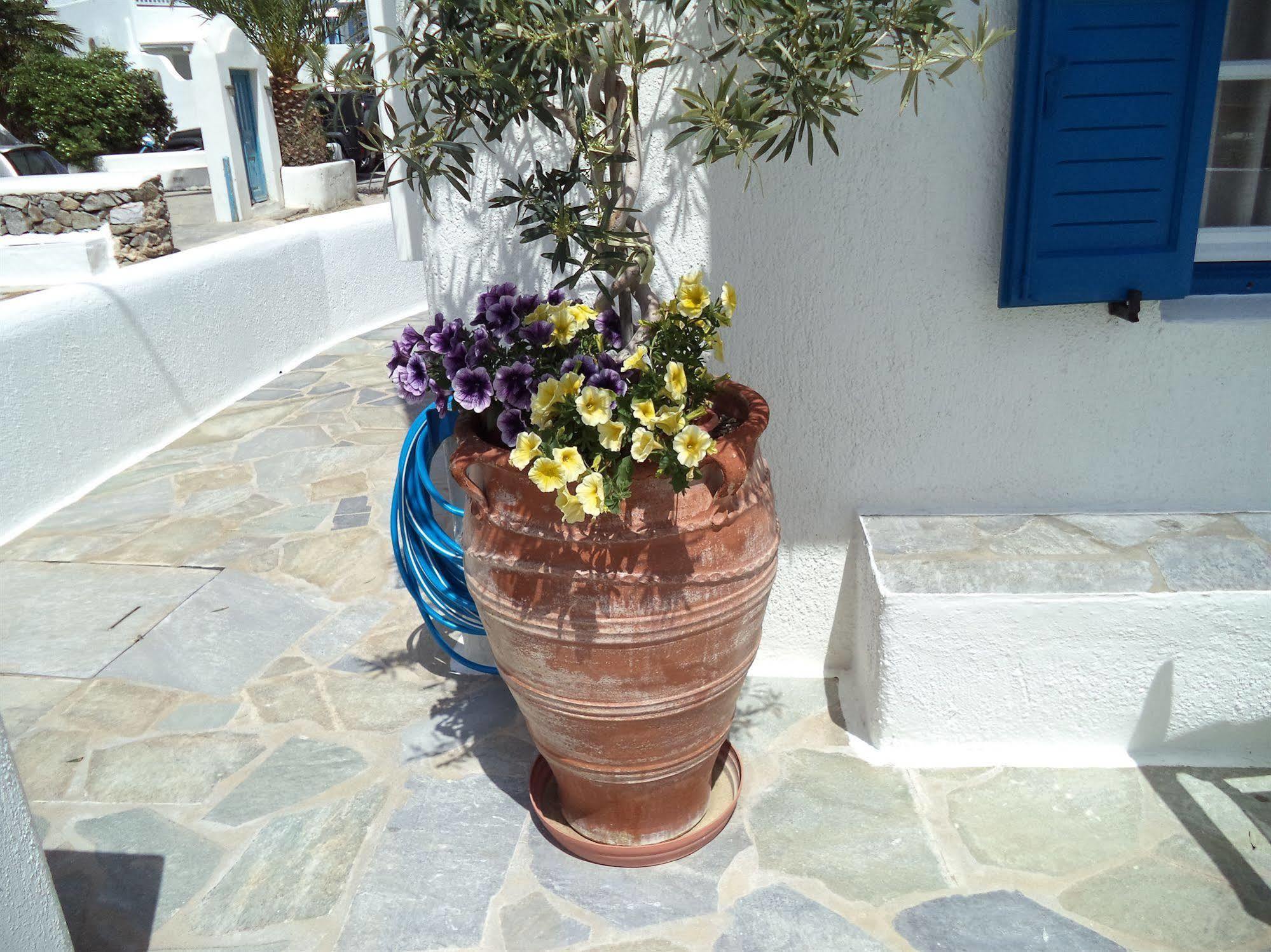 Apartment Filoxenia