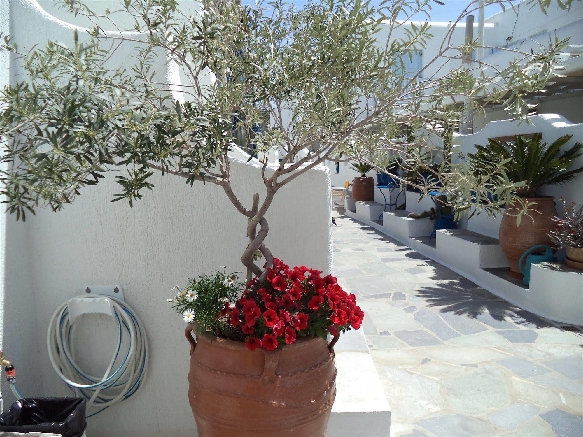Filoxenia Ornos (Mykonos)