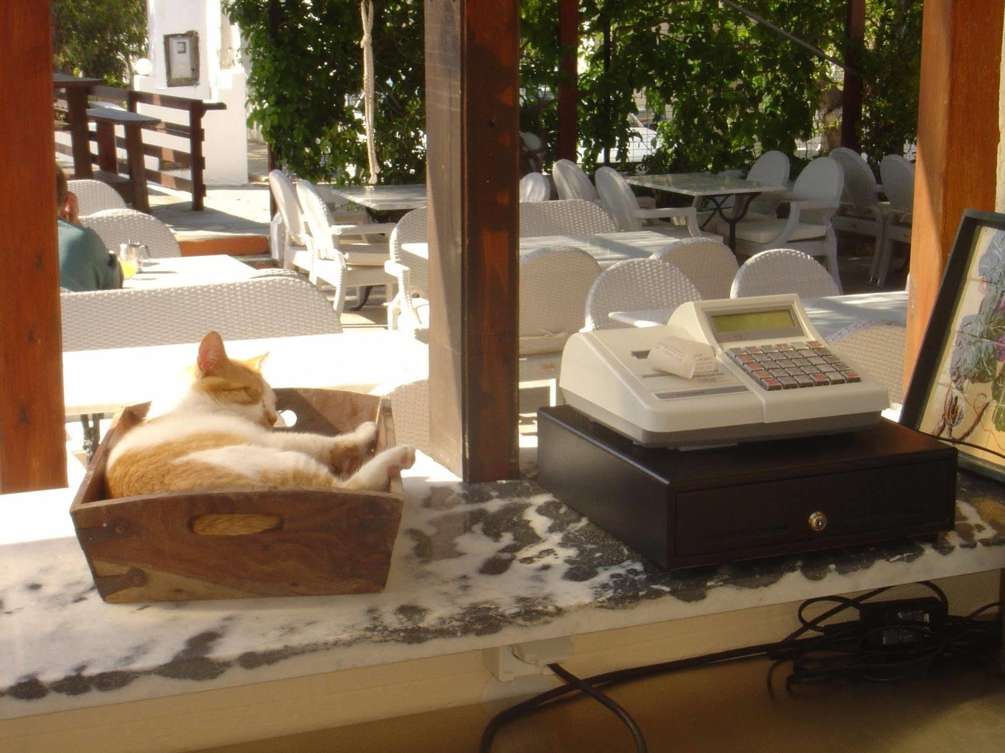 Naxos Summerland Aparthotel 3*