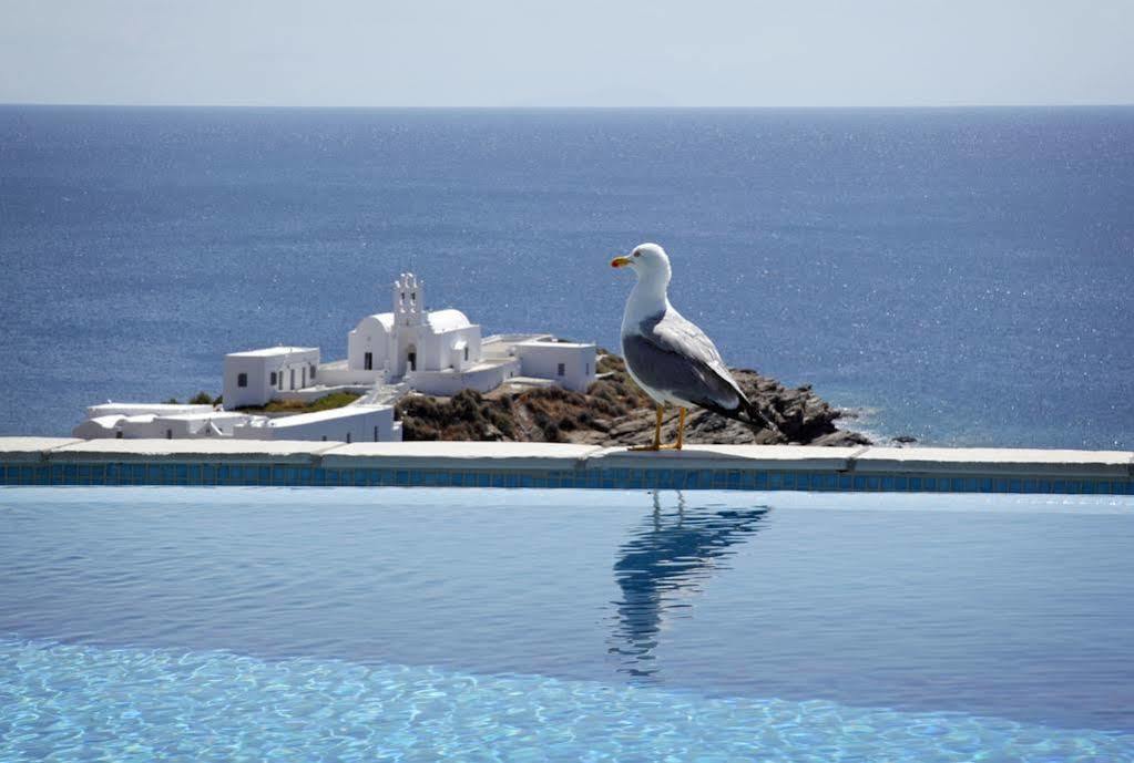 Selana Chrisopigi (Sifnos)