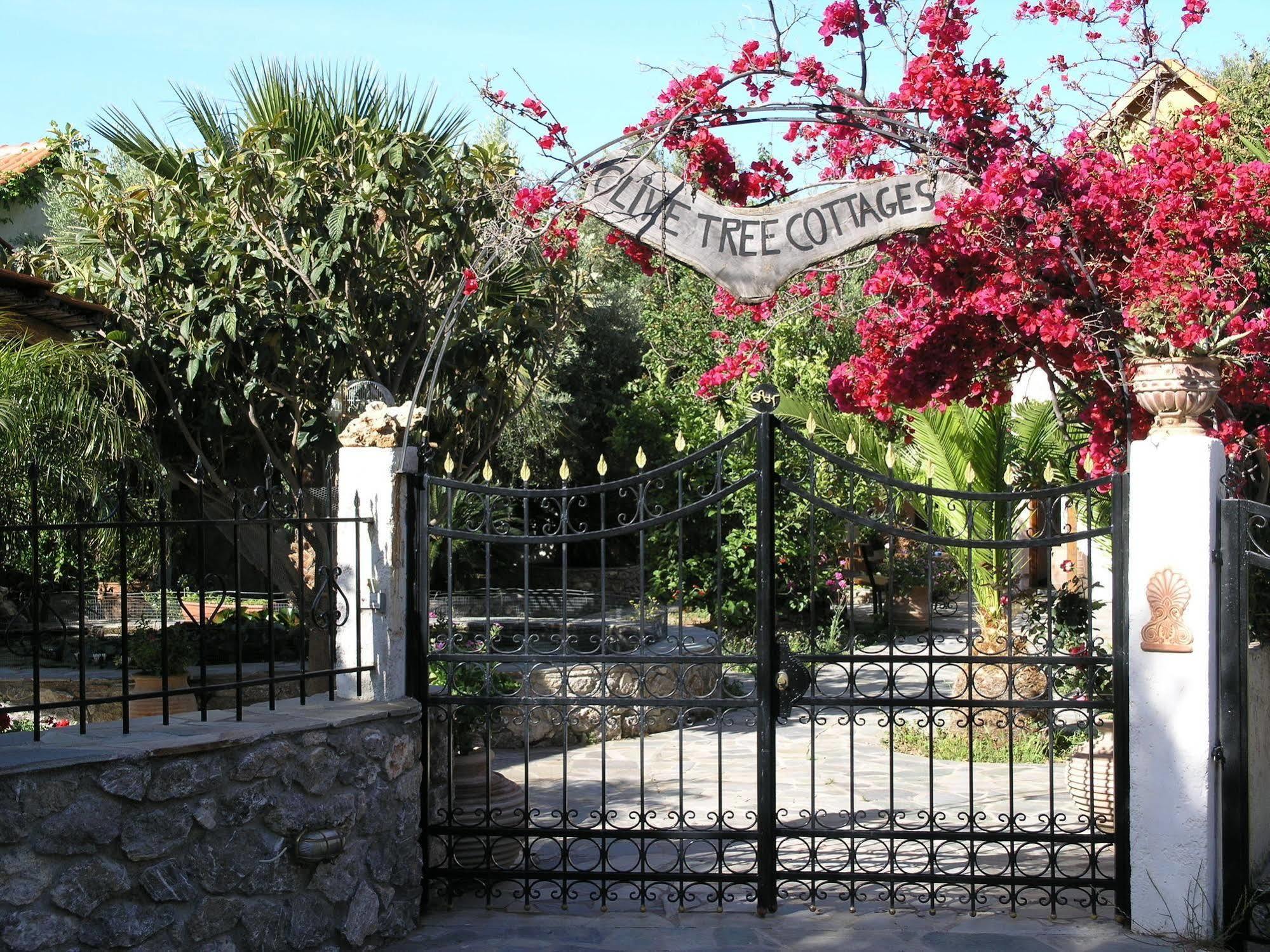 Holiday home Olive Tree Cottages Palaiochora