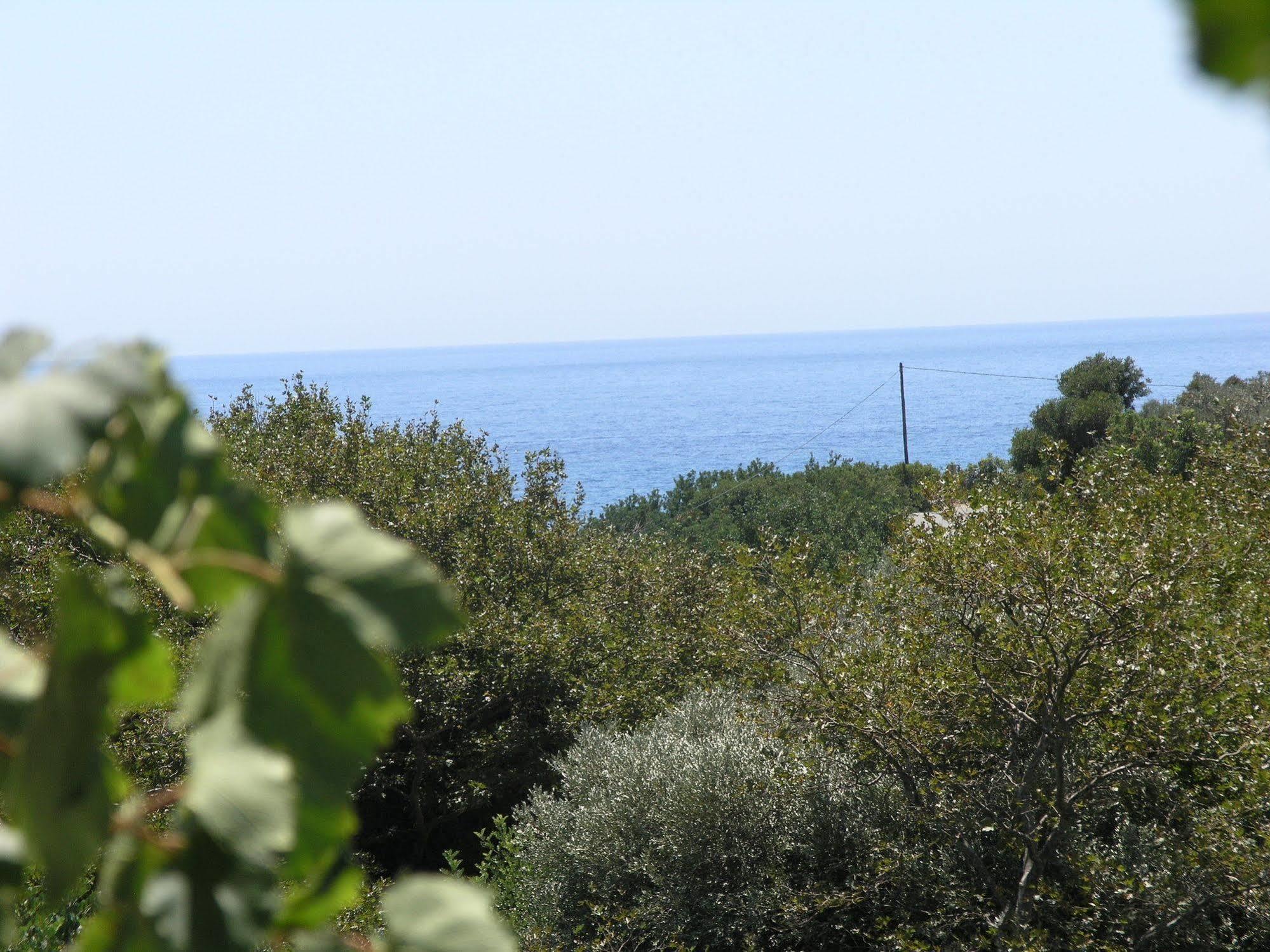 Olive Tree Cottages Holiday home Palaiochora