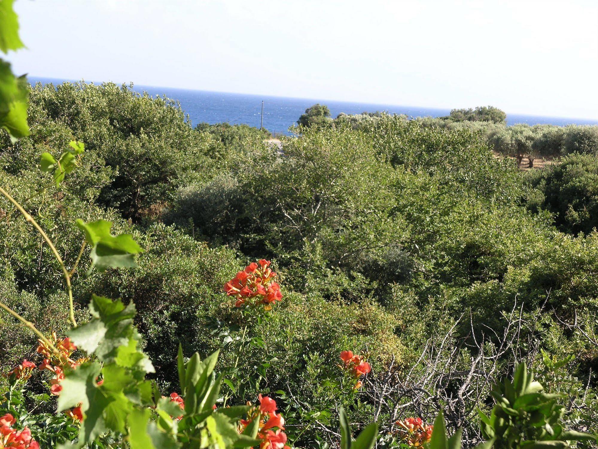 Holiday home Olive Tree Cottages Palaiochora