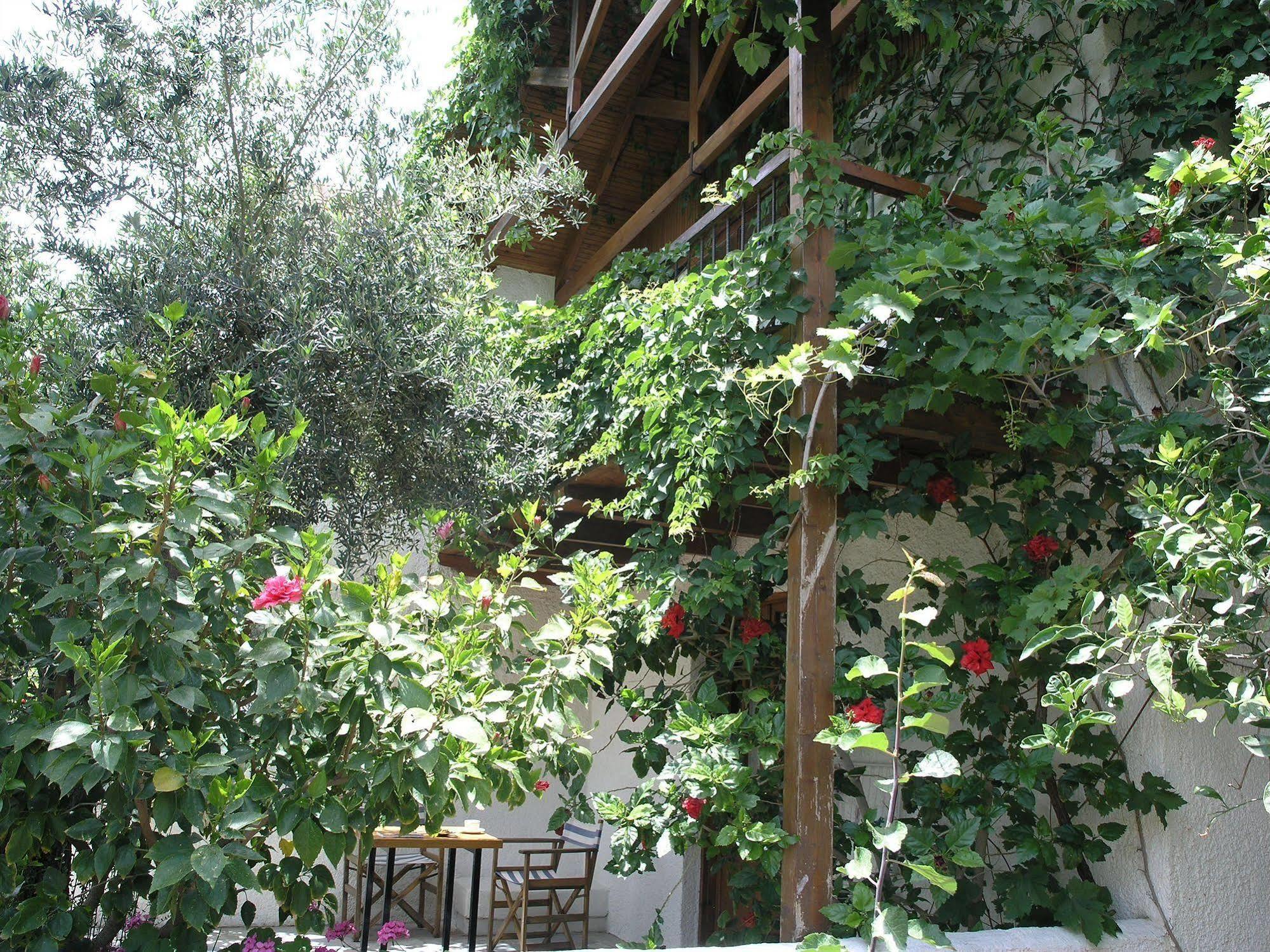 Olive Tree Cottages