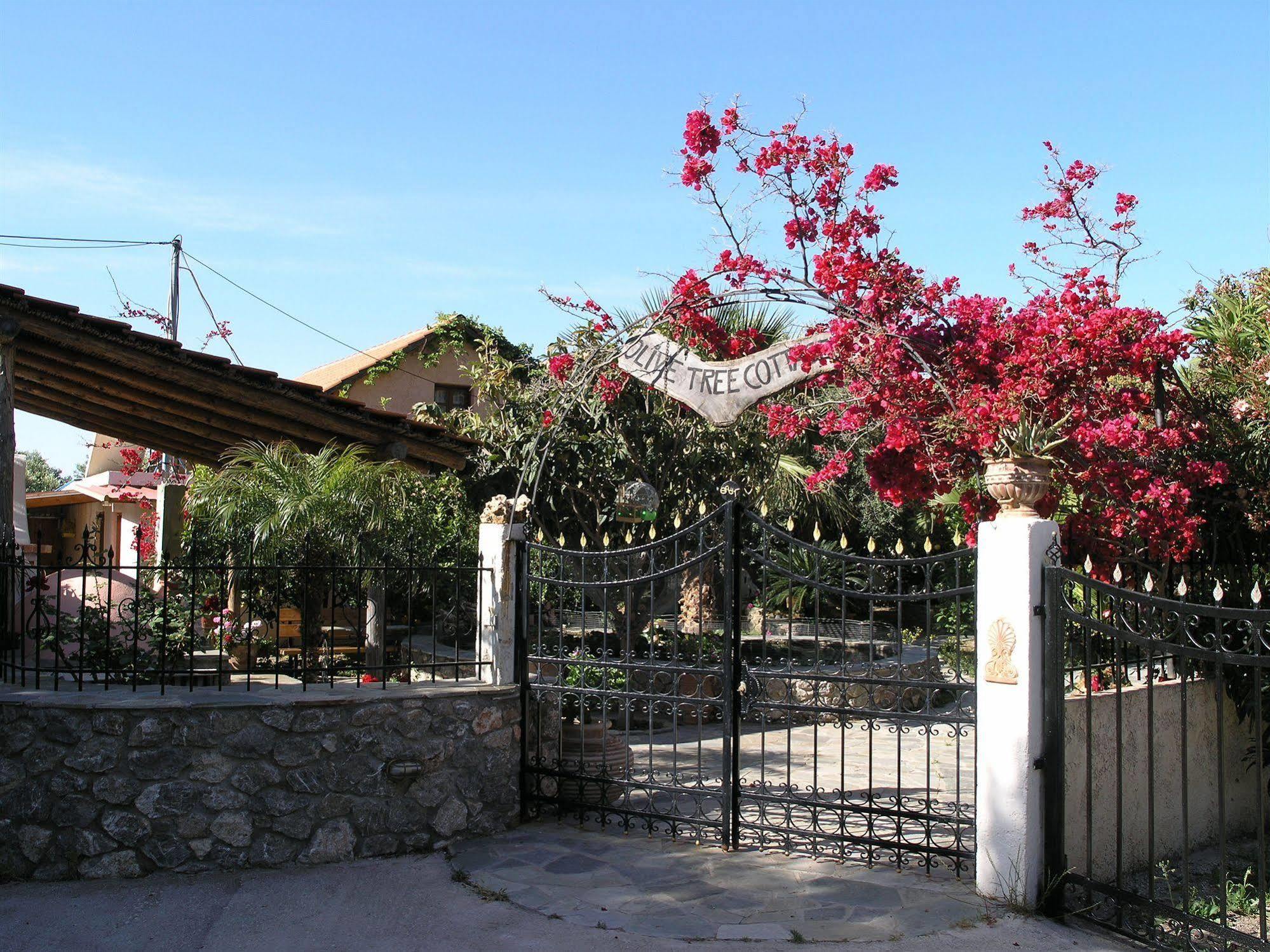 Olive Tree Cottages Holiday home Palaiochora