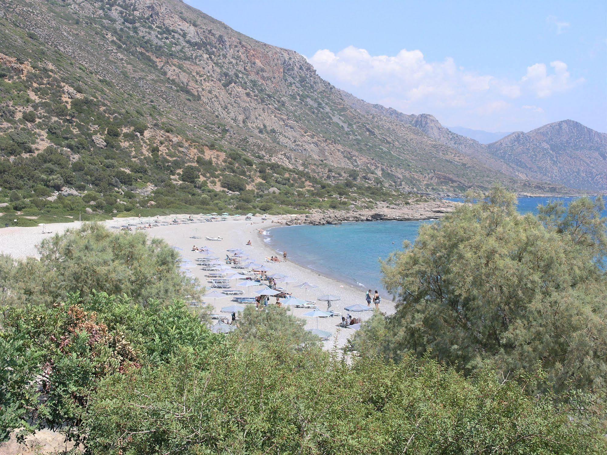 Olive Tree Cottages * Palaiochora