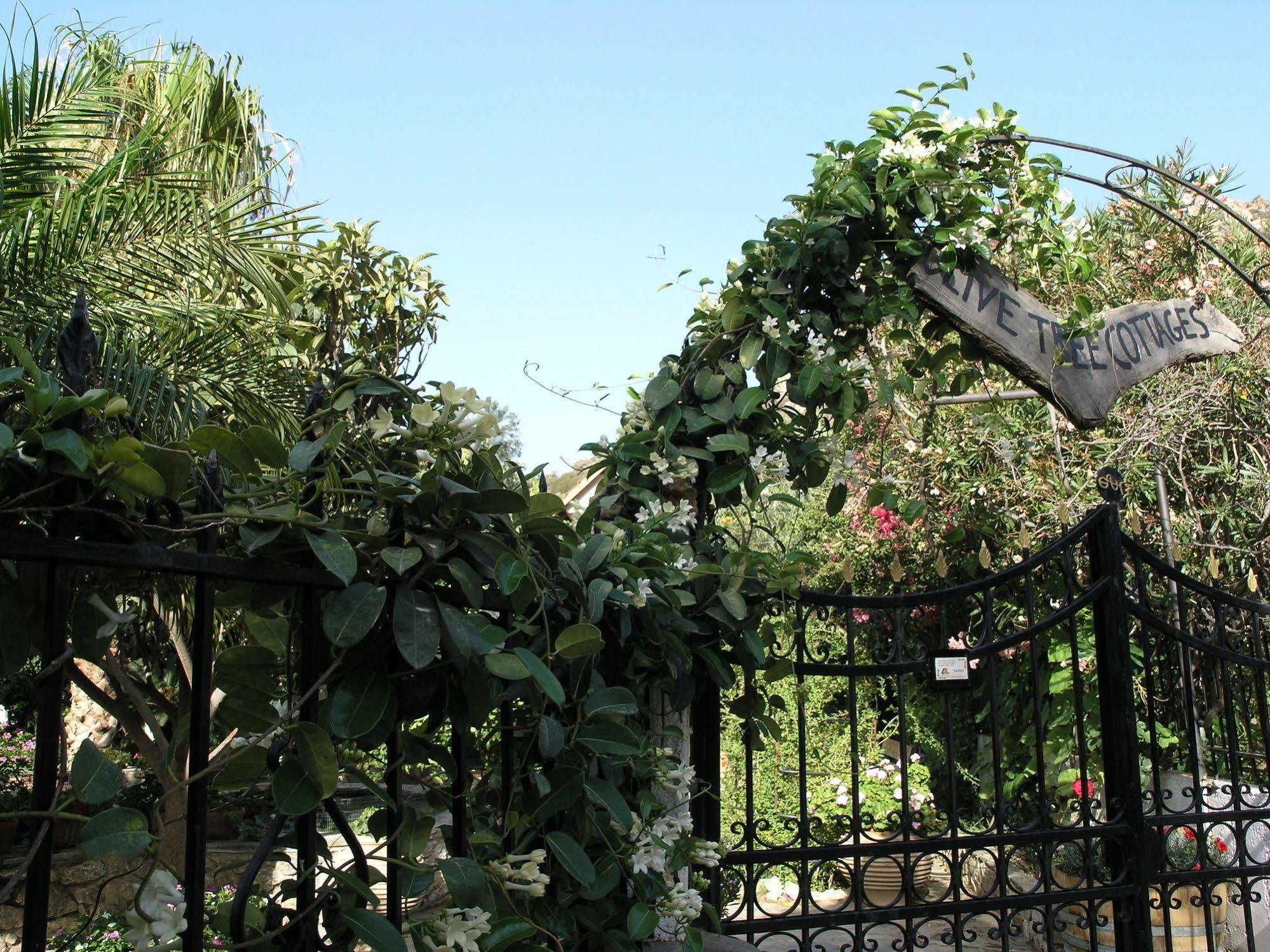 Olive Tree Cottages Holiday home