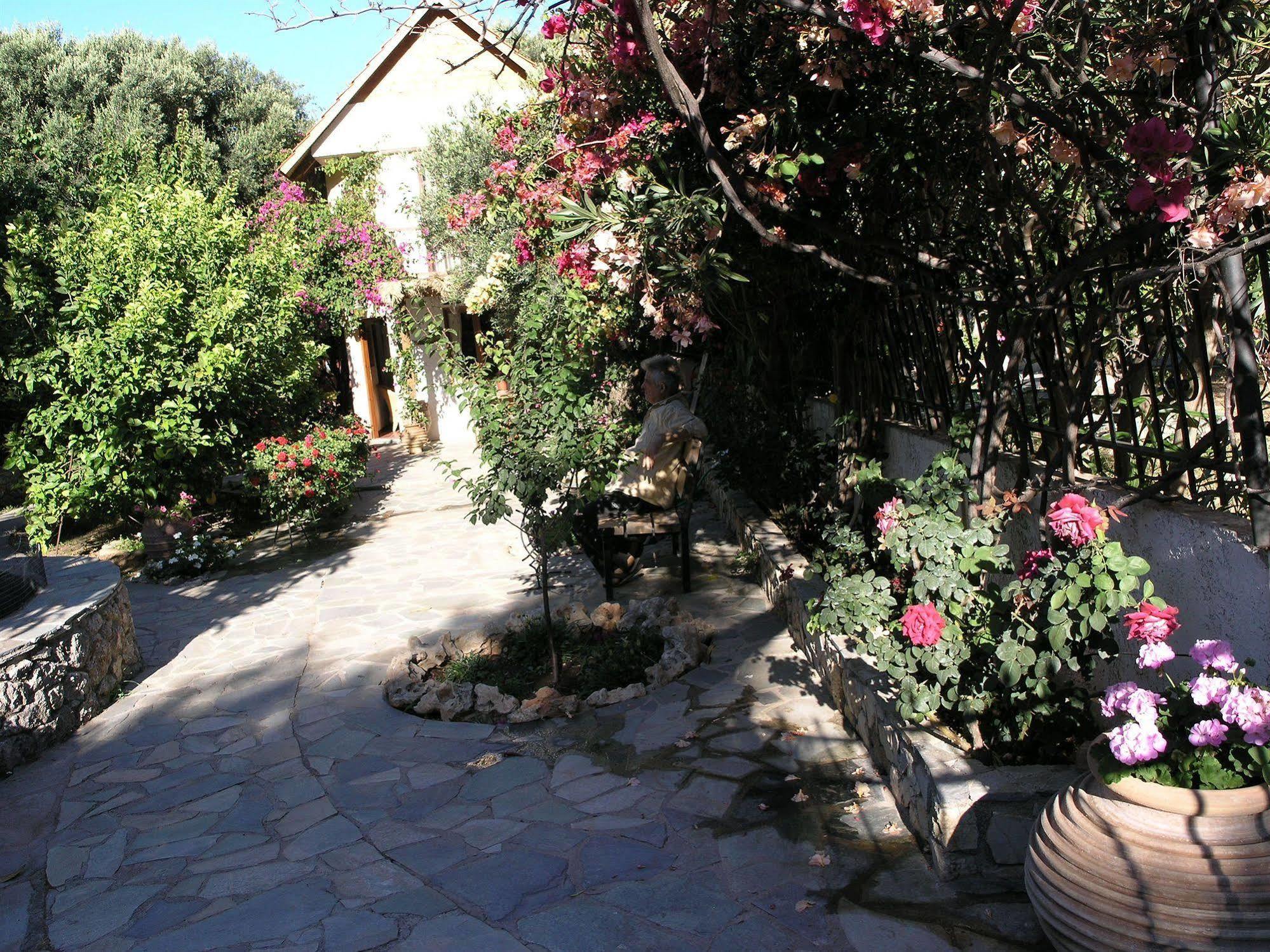 Olive Tree Cottages Holiday home