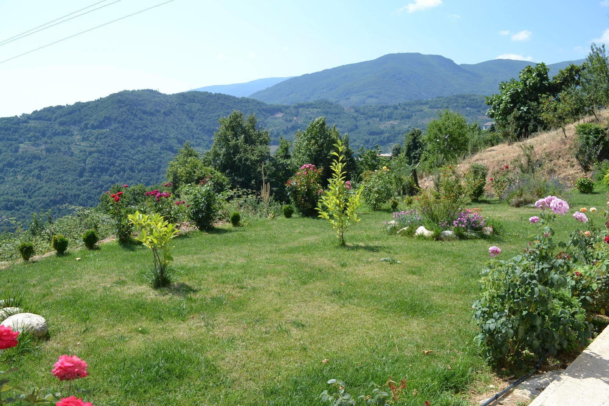 Kapaniaris Guest house Zagora