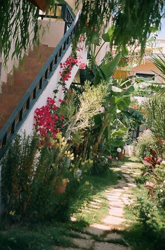 Dioskouroi Apts Aparthotel Agia Pelagia (Crete)