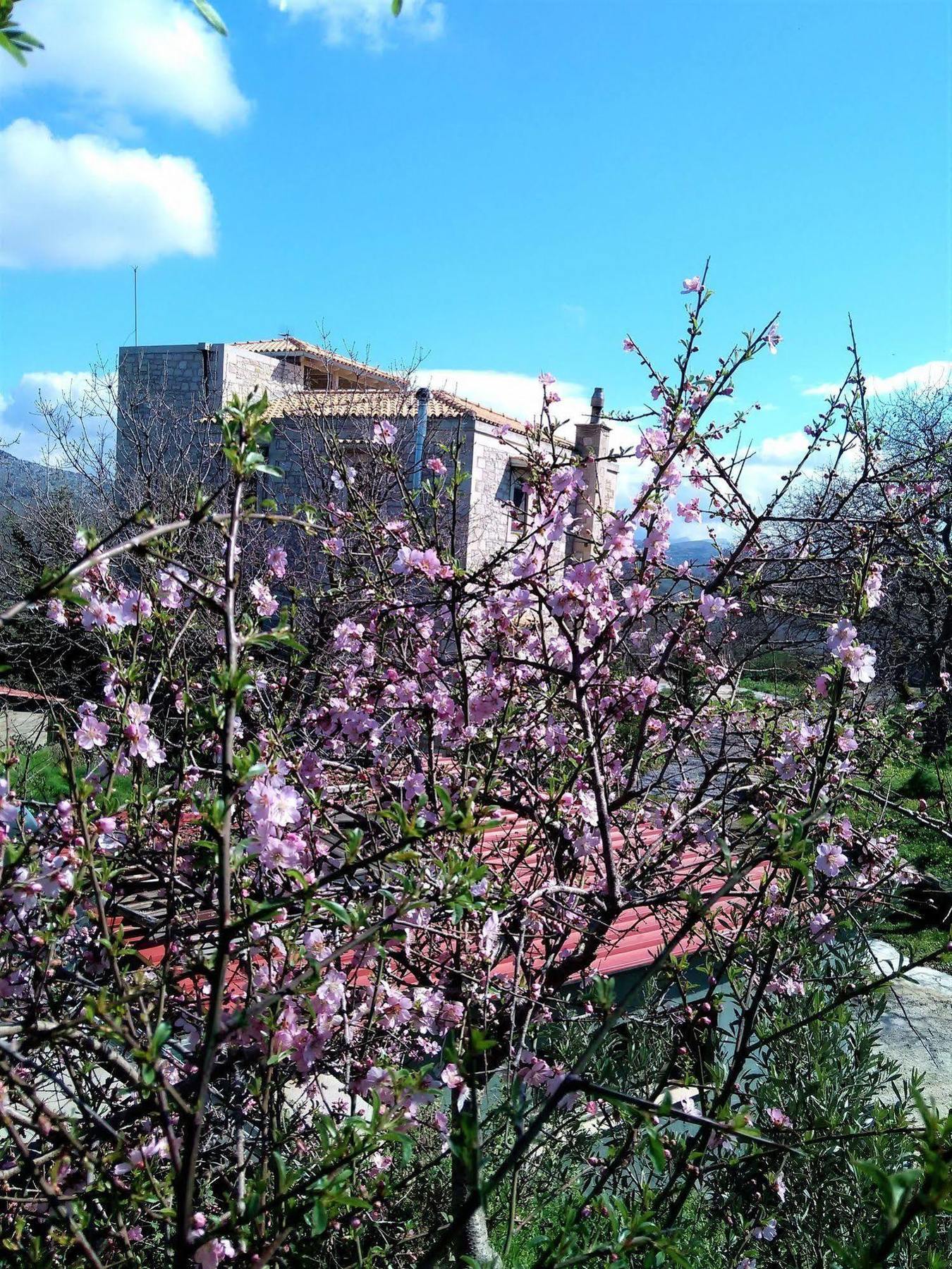 Ermis - The Cretan Castello Kastellos