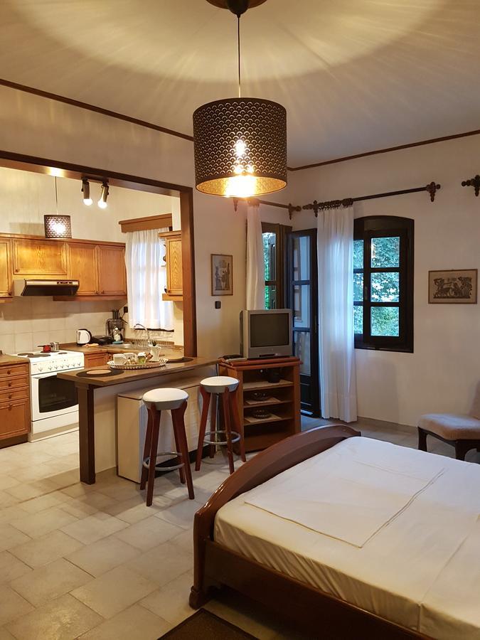 Apartment Leventis *
