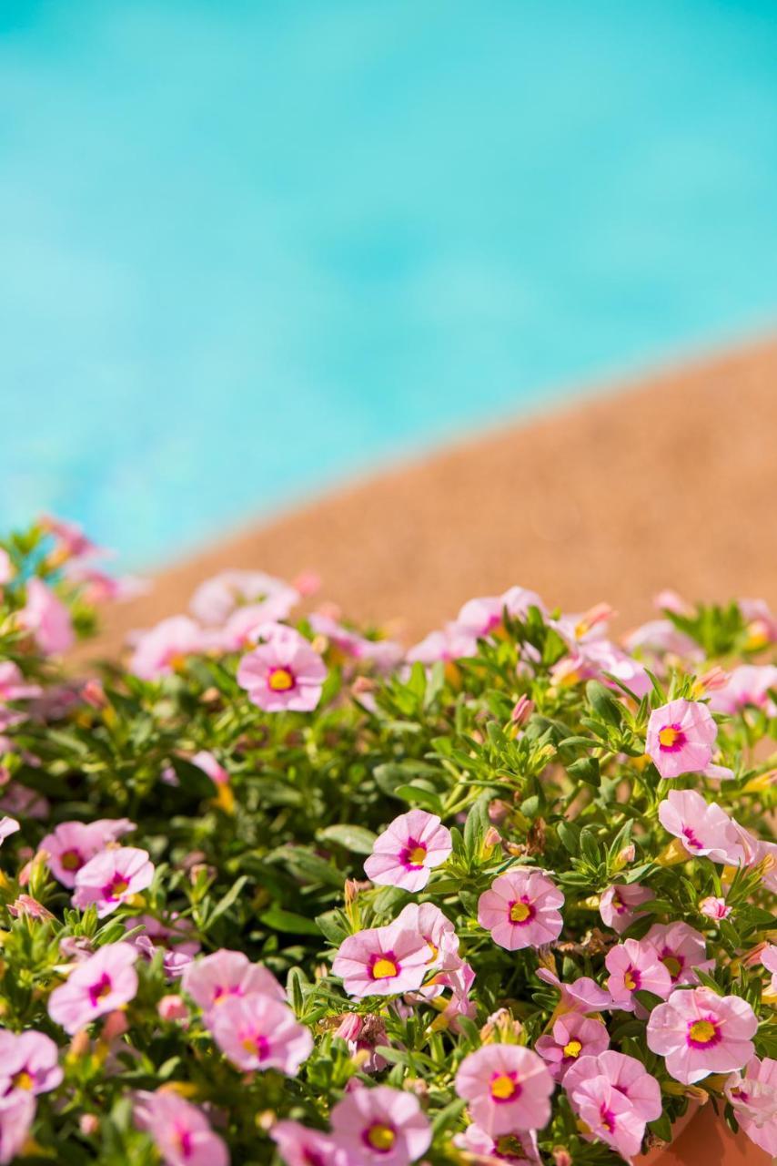 Neikos Mediterraneo Luxury