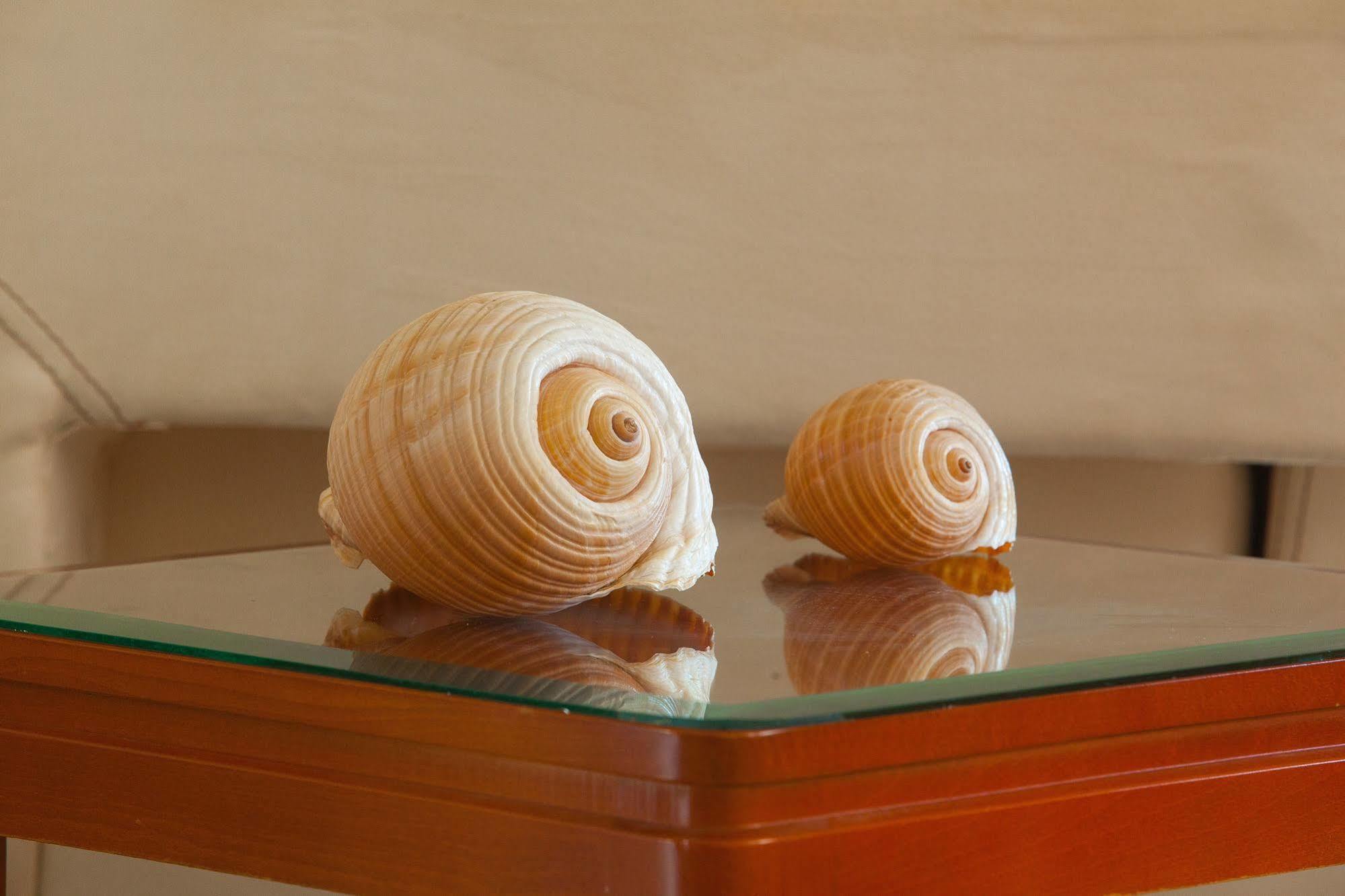 Hotel Pavlos 2*