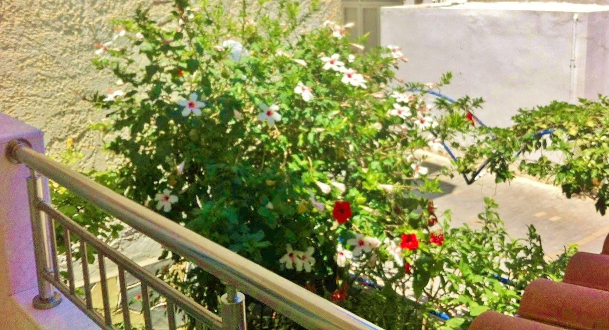 Apartment Apollonia *