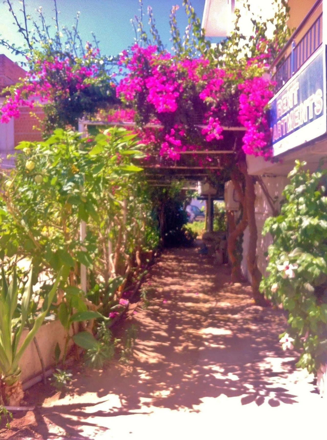 Apartment Apollonia Agia Pelagia (Crete)