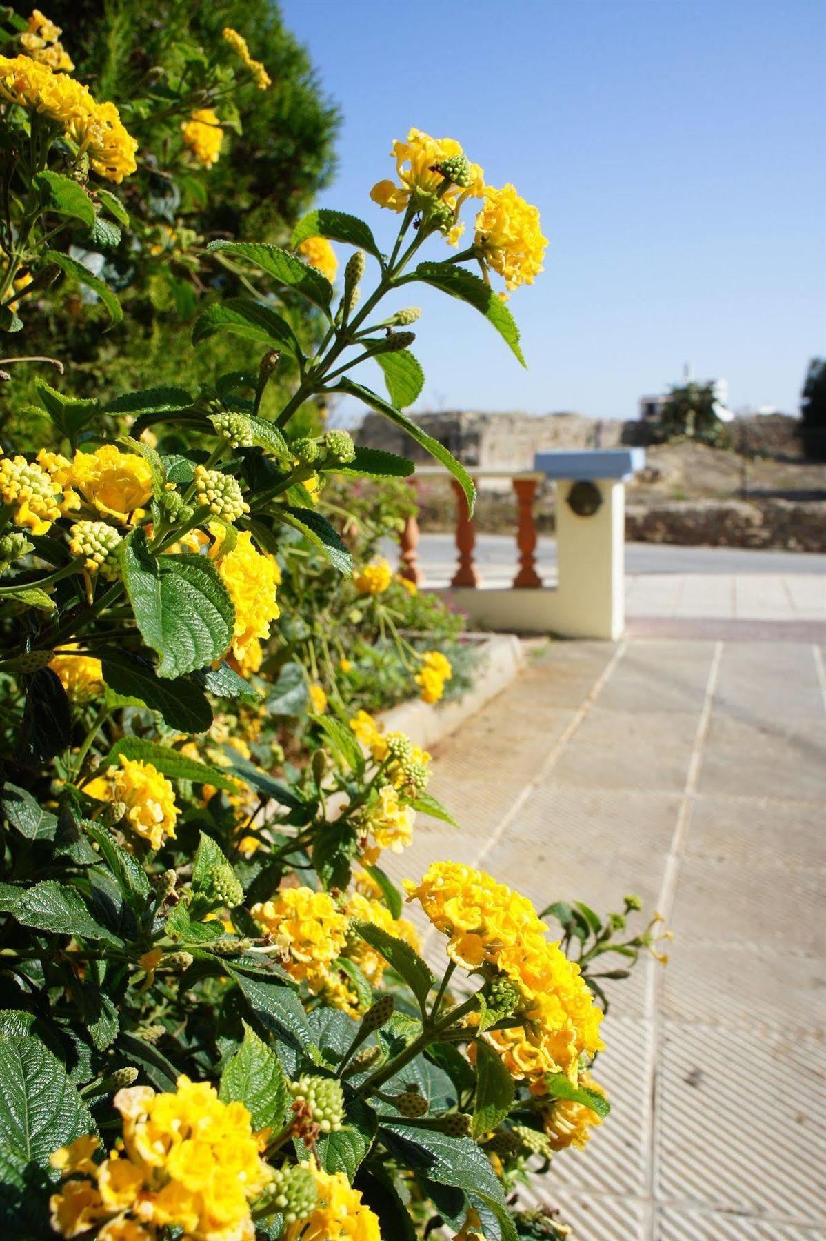 Senses Blue Boutique 3* Hersonissos (Crete)