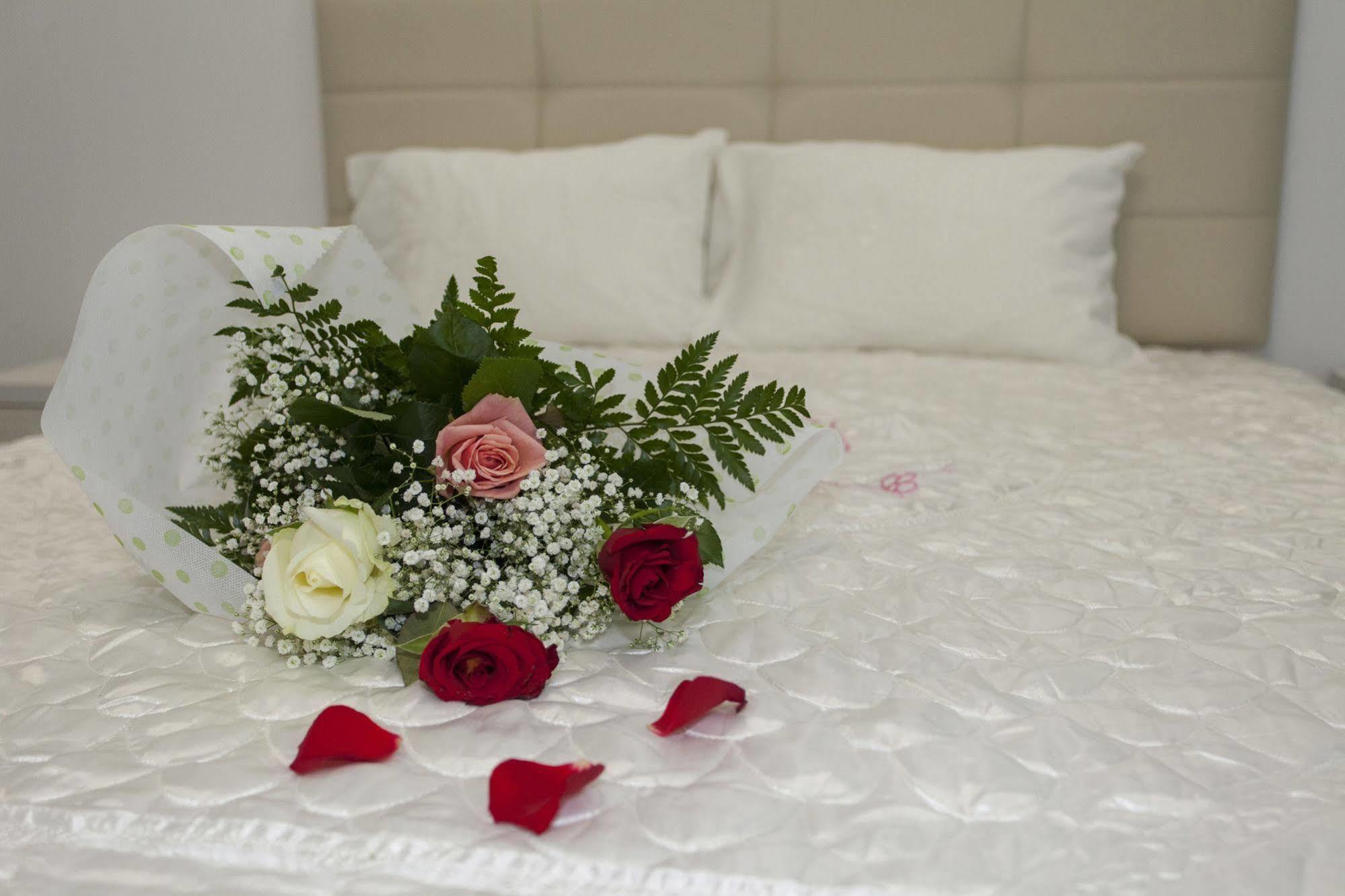 Oasis Exclusive Aparthotel 3*