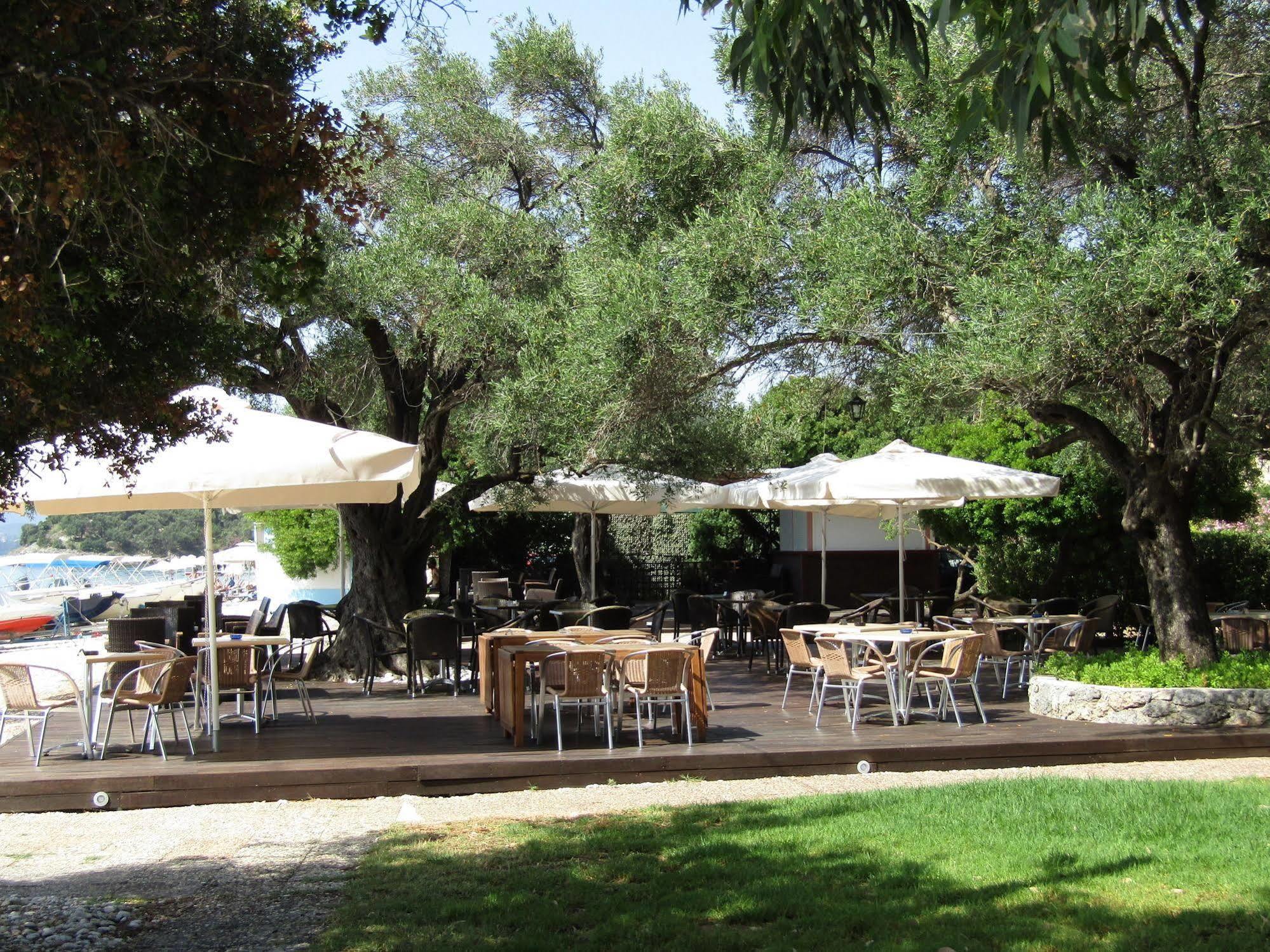 Beach Holiday Apartment, Corfu,greece Holiday home Barbati