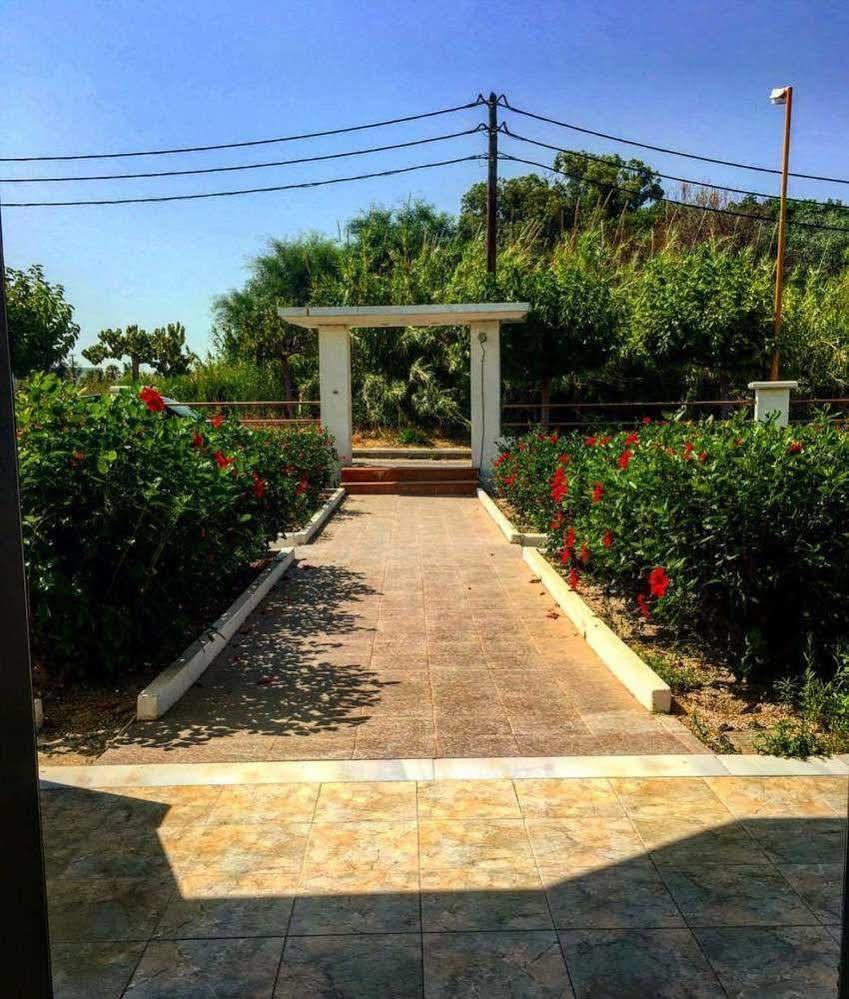 Paradise Apartment