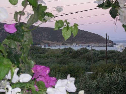 Voula's Casa Di Mare * Palekastro