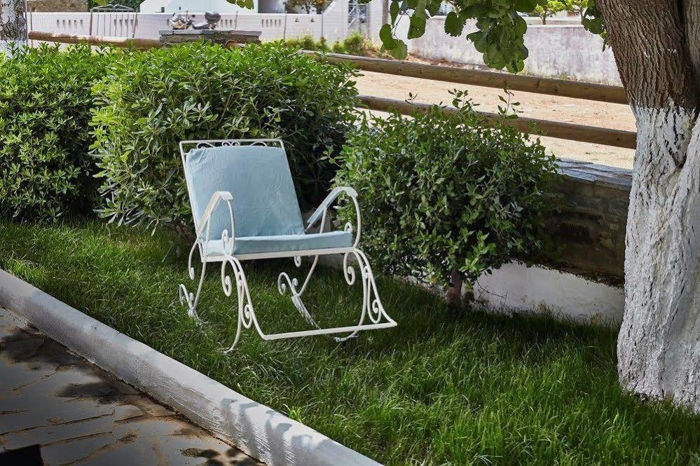 Aelia Apartment Agios Petros (Andros)