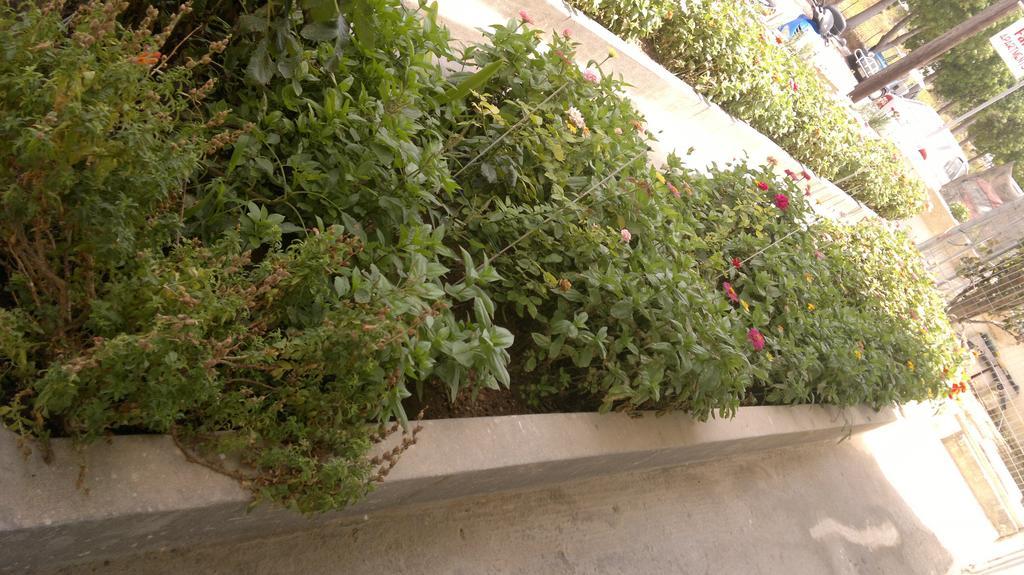 Aparthotel Fania