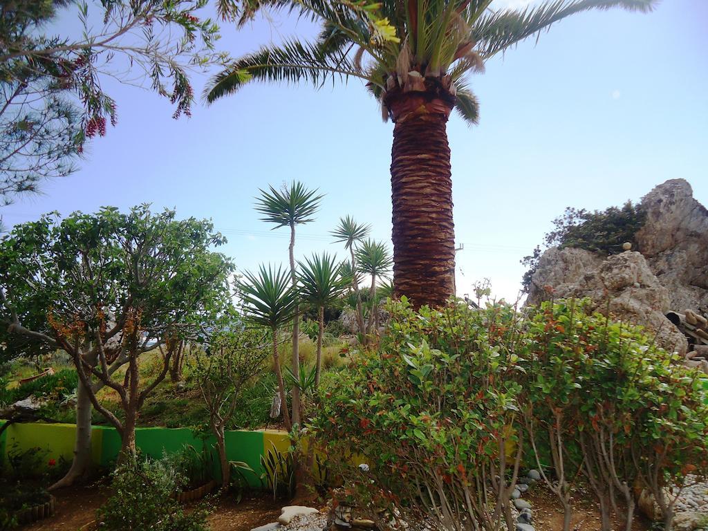 Aris Boutique Hotel Palaiochora