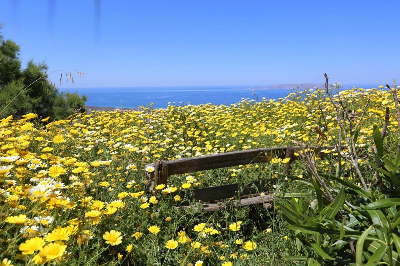 Holiday home Valley View House Anopolis (Heraklion)