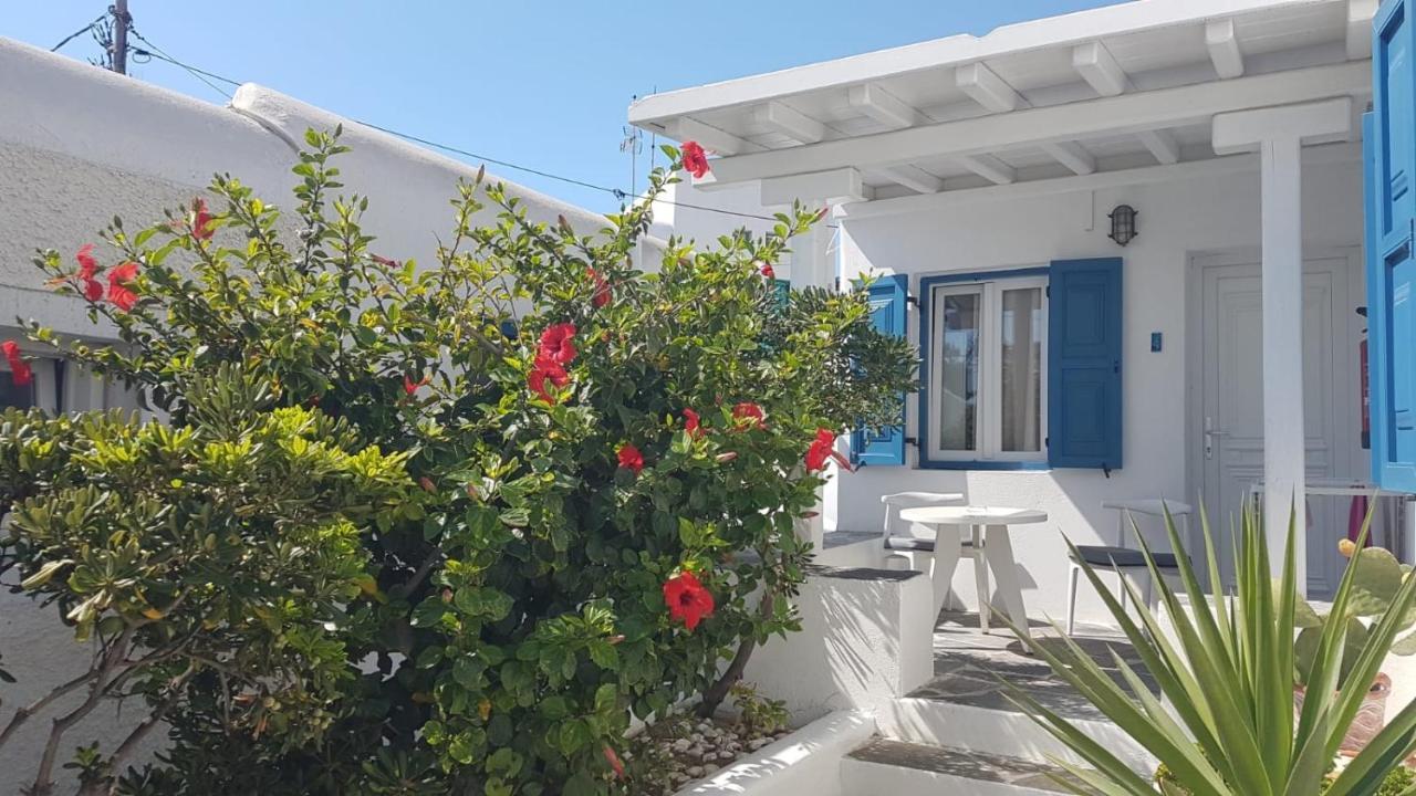 Gelos House 2* Ornos (Mykonos)