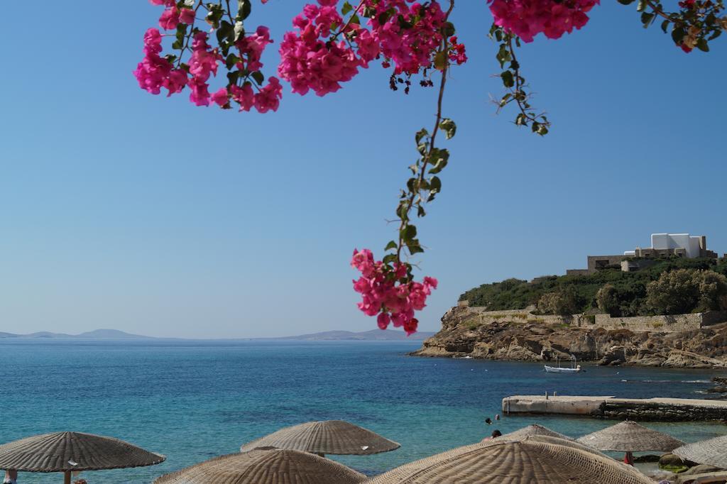 Amazing View 3* Agios Stefanos (Mykonos)