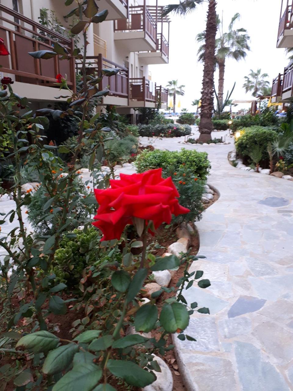Ilian & 3* Rethymno (Crete)
