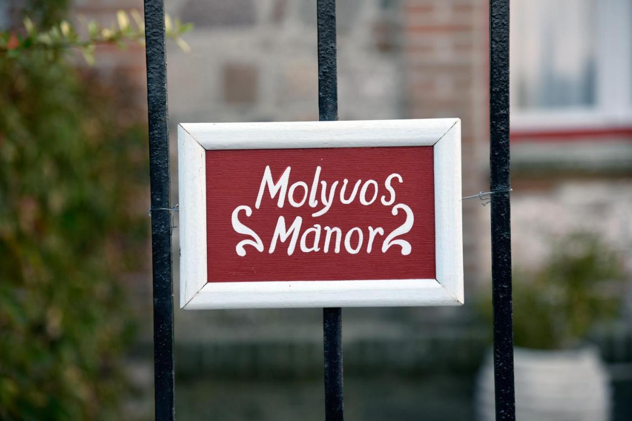 Molyvos Manor Villa *