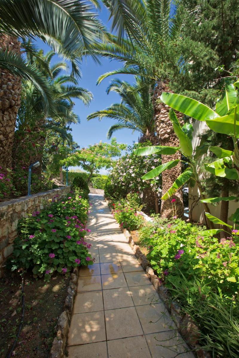 Rethymno Mare & Water Park 5* Skaleta