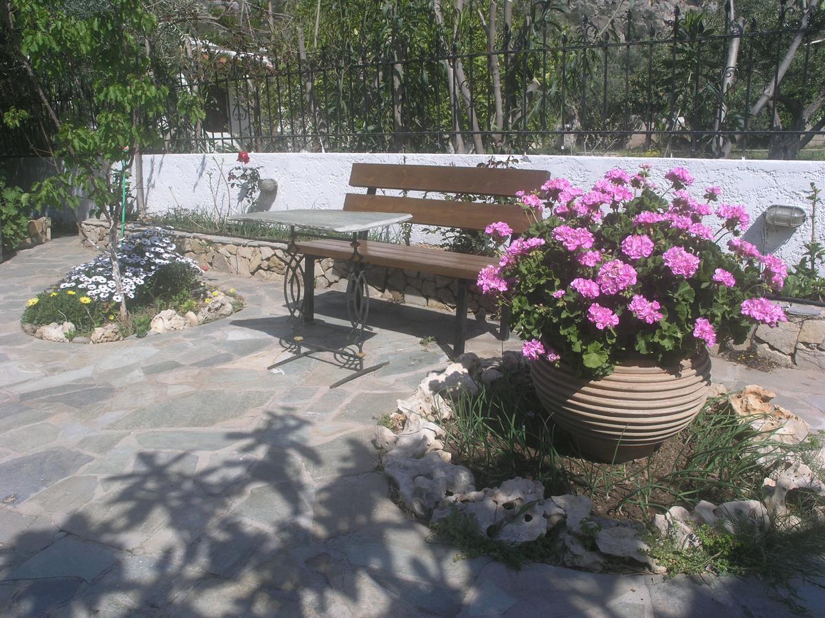 Olive Tree Cottages *