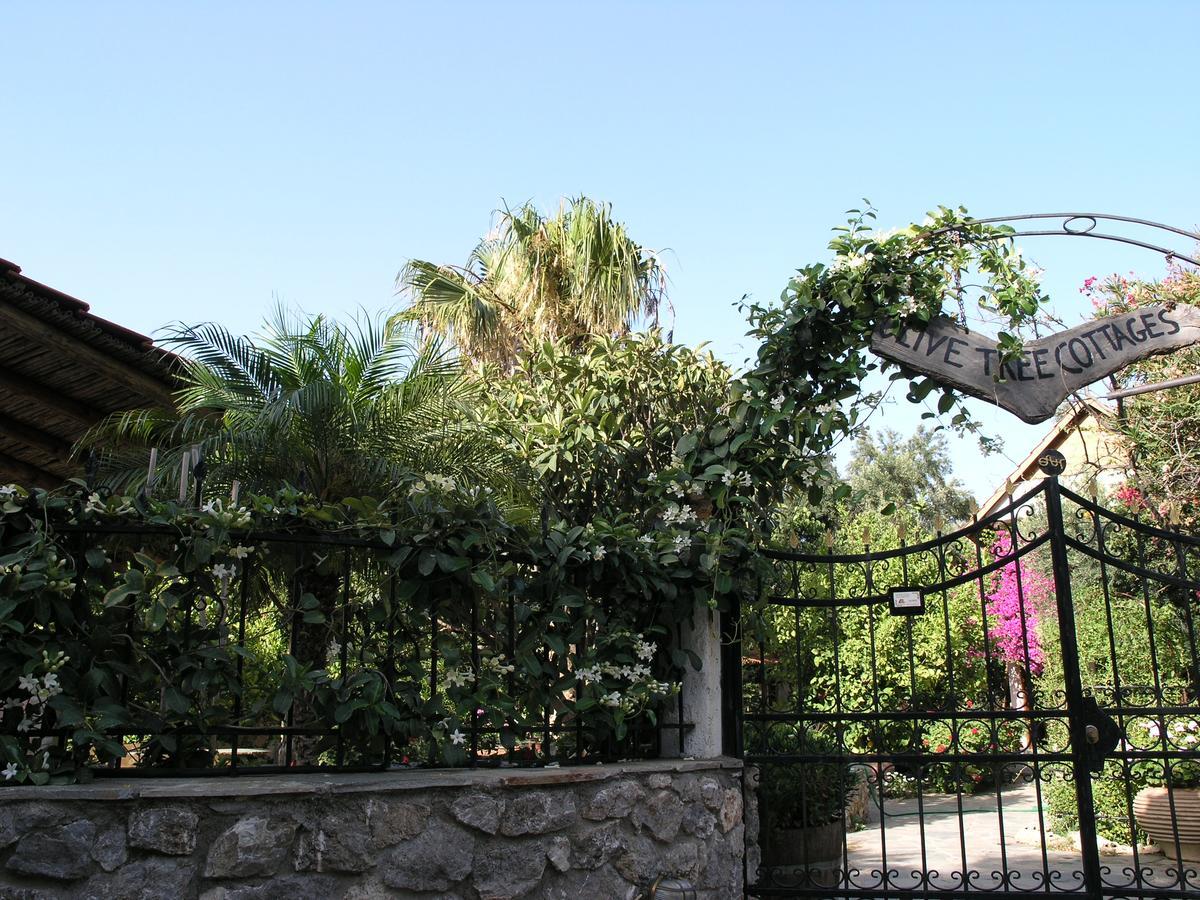 Holiday home Olive Tree Cottages
