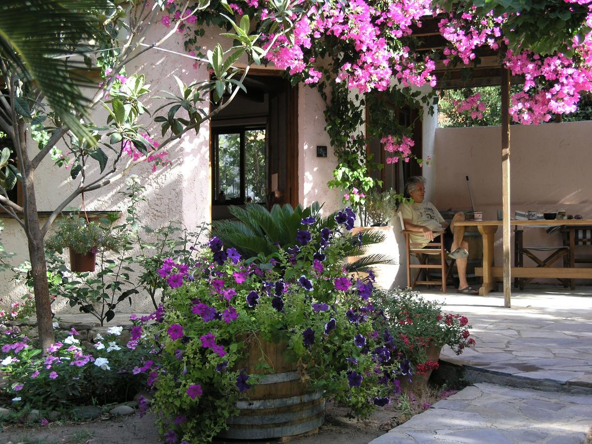 Olive Tree Cottages Holiday home *