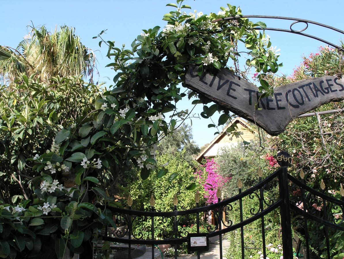 Olive Tree Cottages * Palaiochora