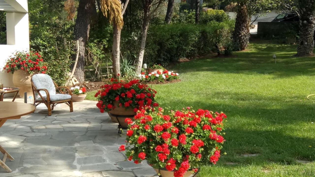 Sani Maria Villa Sani (Chalkidiki)