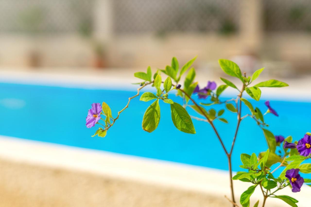 Hiona Hotel Palekastro