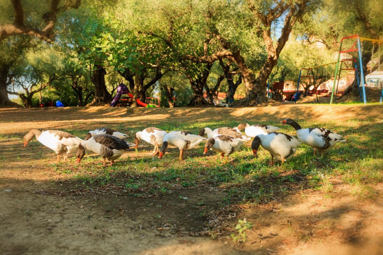 Park Alykes (Zakynthos)